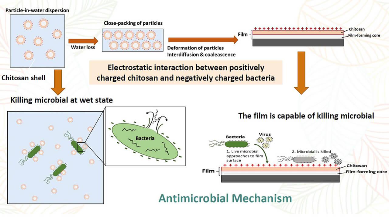 Kijkgat Arabisch Zwerver Bio-based antimicrobial coating CareCoatex™