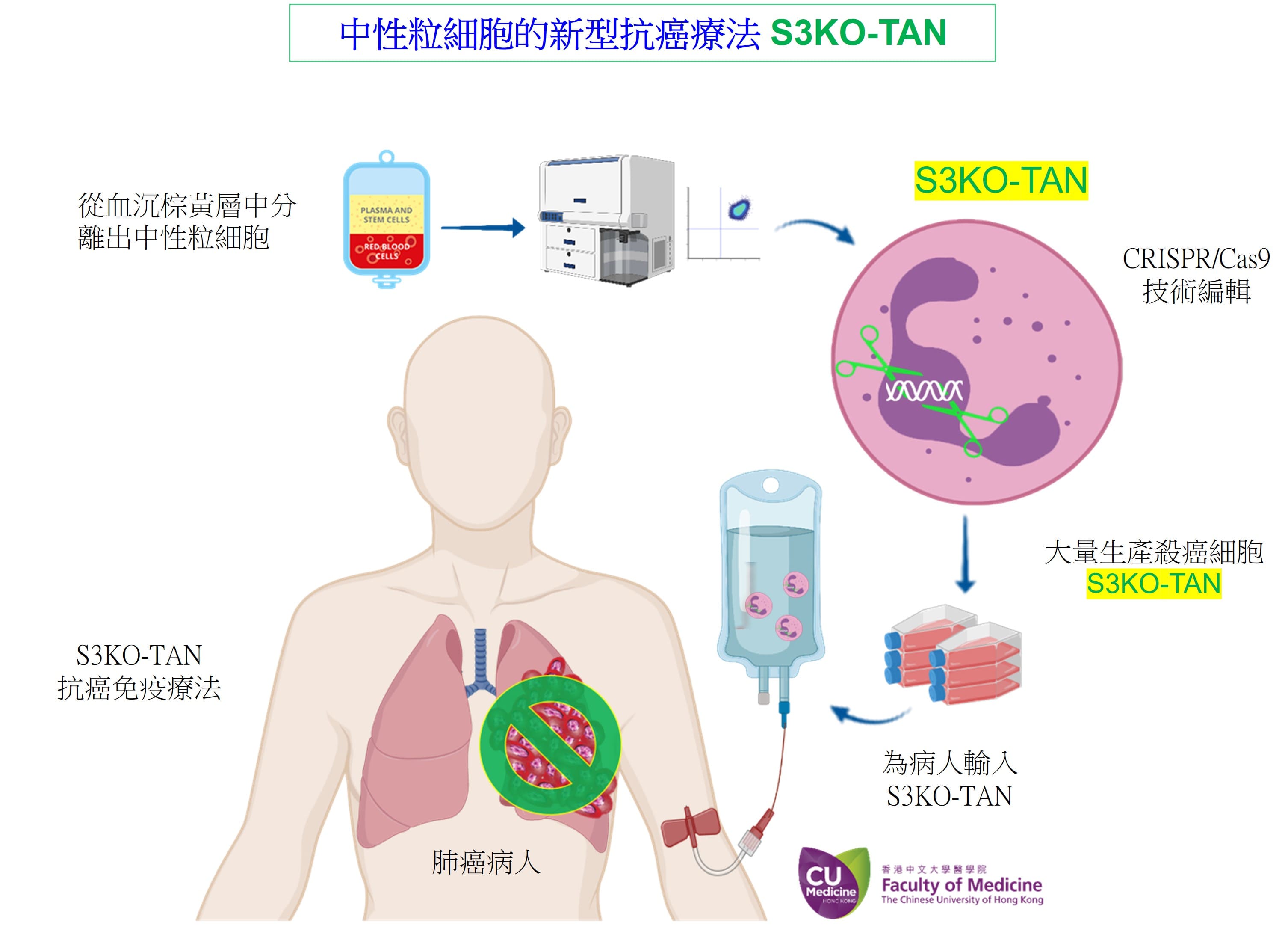 新型中性粒细胞抗癌免疫疗法 S3KO-TAN