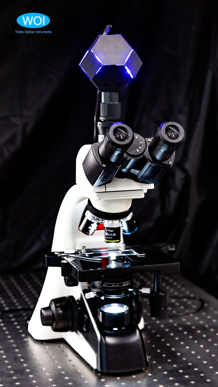 Light Field Microscope and 3D Imaging System